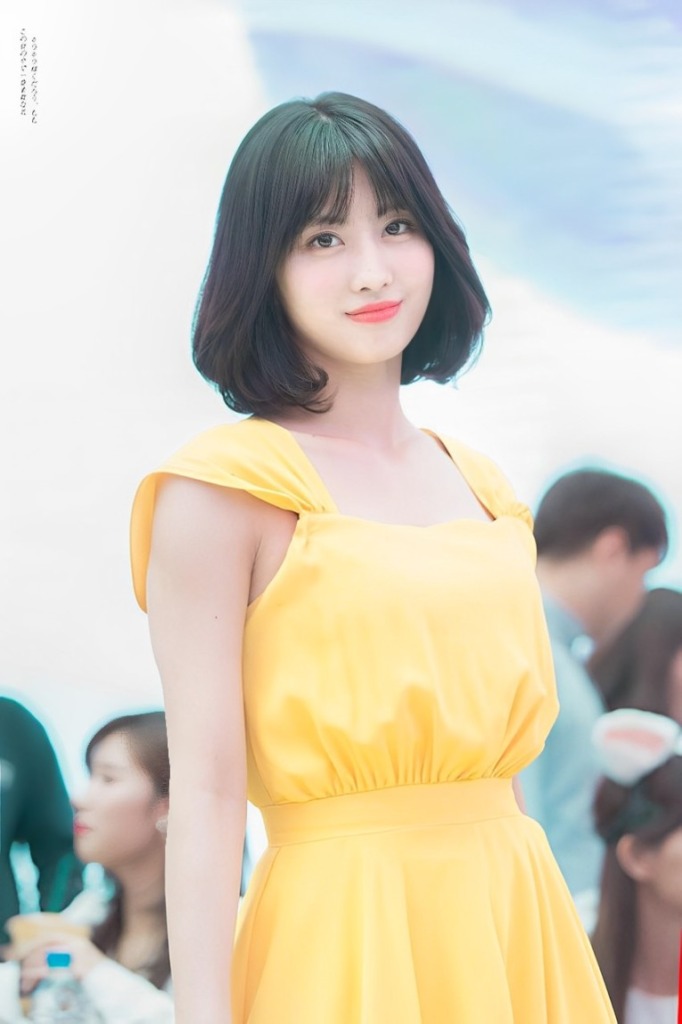 Momo Yellow Collection