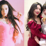 Joy K-Pop Social Butterfly