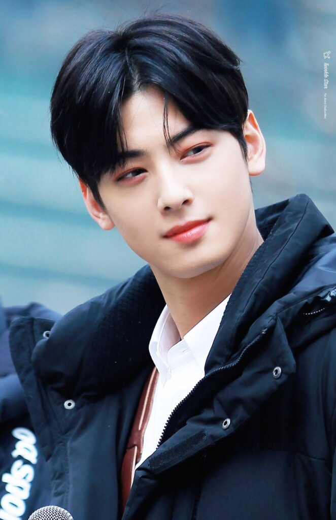 Cha Eun Woo: Model, Actor & Brand Ambassador