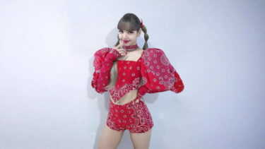 Lisa's Red Paisley Outfit