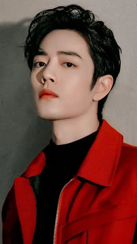 Xiao Zhan personal background