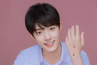 Xiao Zhan (肖战) Profile