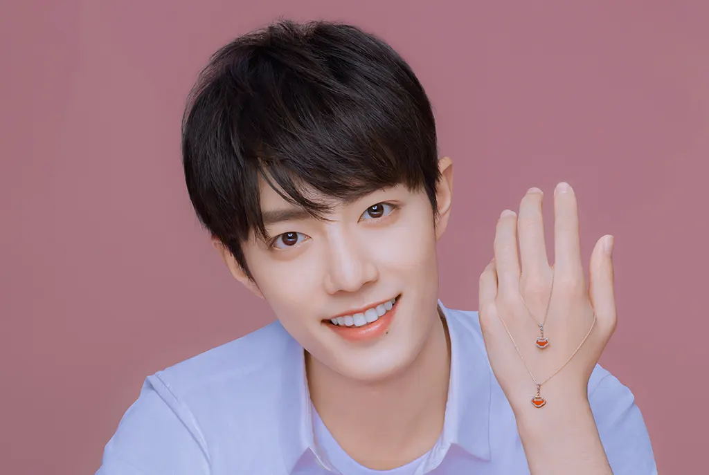 Xiao Zhan (肖战) Profile