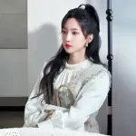 Zhao Hui Nan (赵慧楠) profile