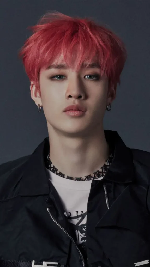 Bang Chan (Stray Kids)