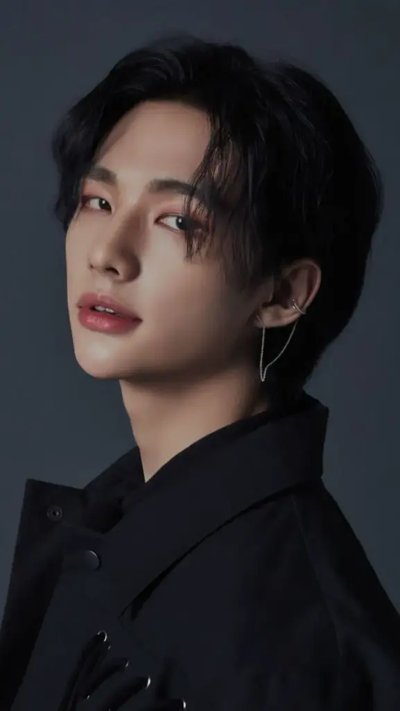 Hyunjin (Stray Kids)